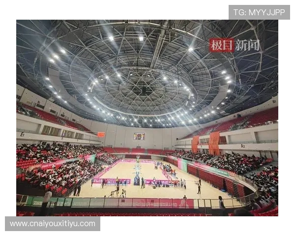 新爱体育网娱乐：专业体育报道与娱乐资讯全面融合