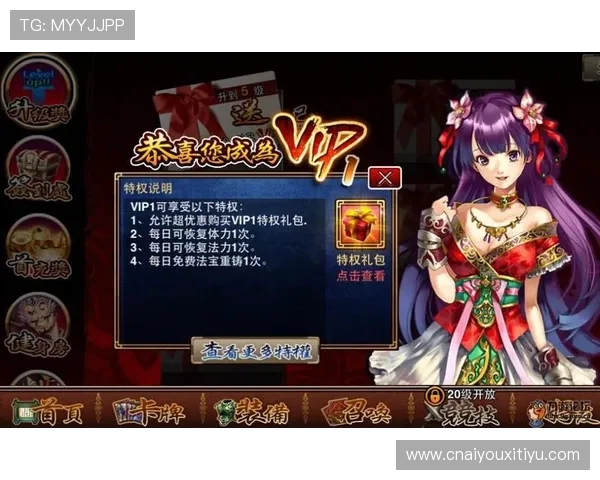 九游娱乐VIP会员特权详解尊享专属福利提升游戏体验