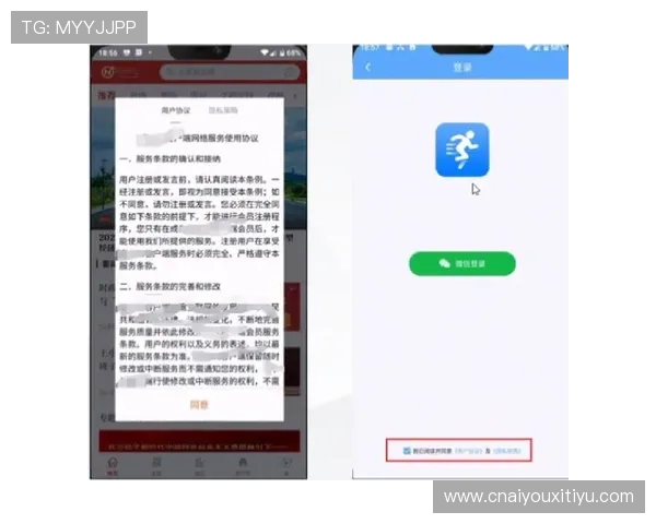 爱游戏app官网首页安全保障措施与隐私政策，保障玩家个人信息安全与权益