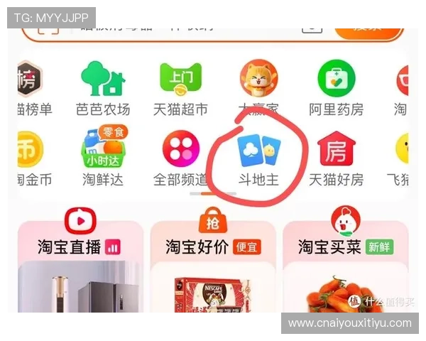 十三平台网页版最新登录入口全面解析帮助玩家轻松畅玩游戏